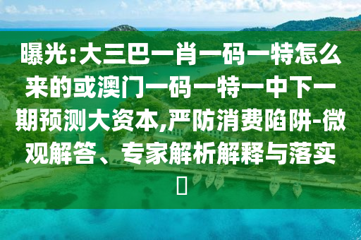曝光:大三巴一肖一碼一特怎么來的或澳門一碼一特一中下一期預(yù)測大資本,嚴(yán)防消費(fèi)陷阱-微觀解答、專家解析解釋與落實(shí)?